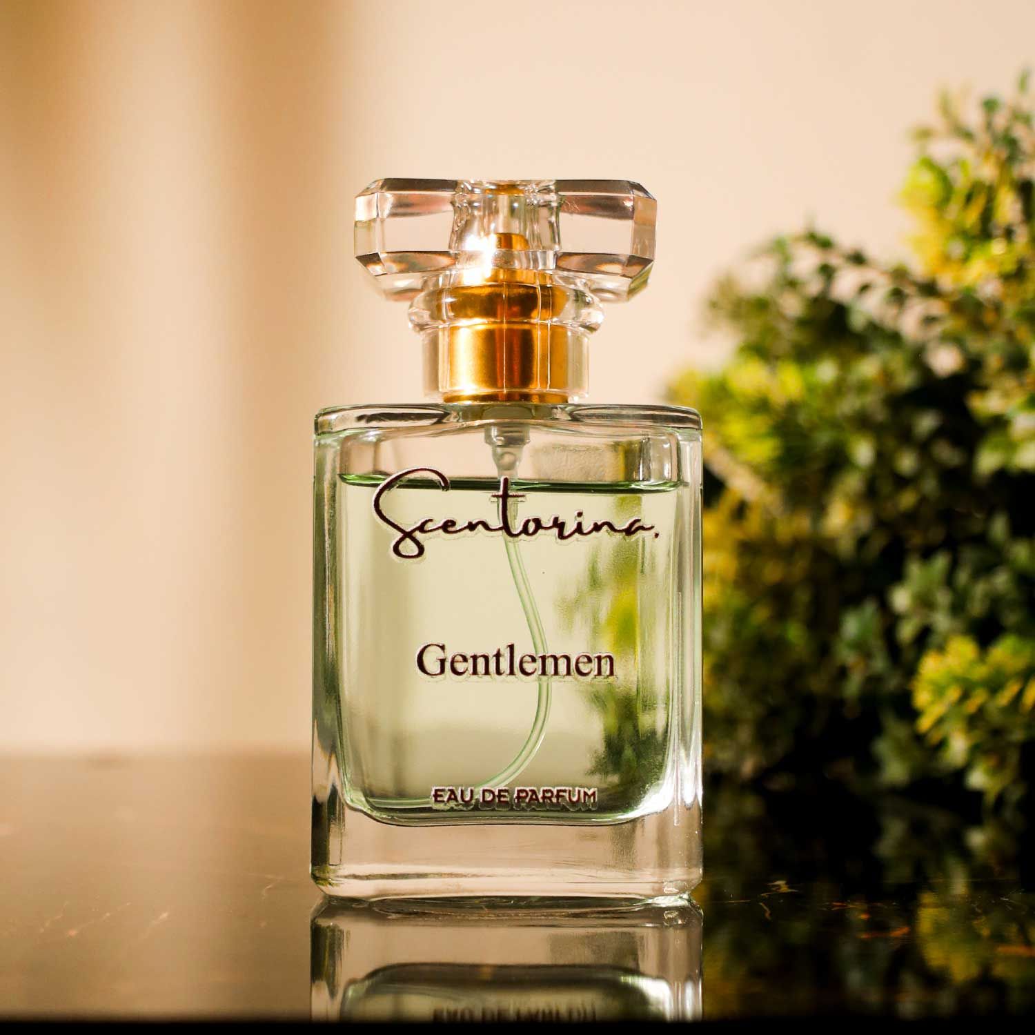 Spring And Summer Perfumes